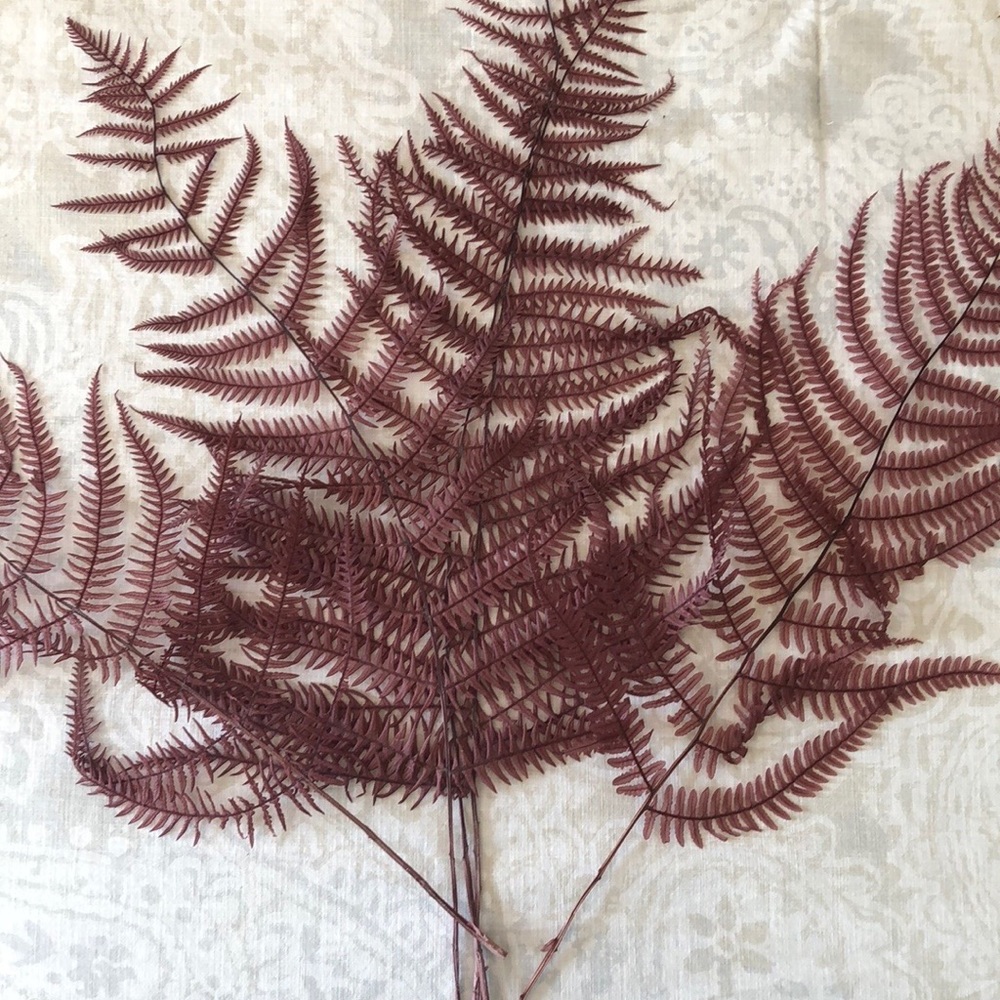 Creative Co-Op 5 Dried Natural Fern Large Leaves Rose color in original bag NWT